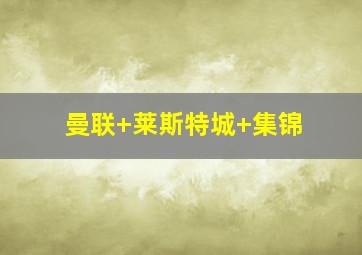 曼联 莱斯特城 集锦